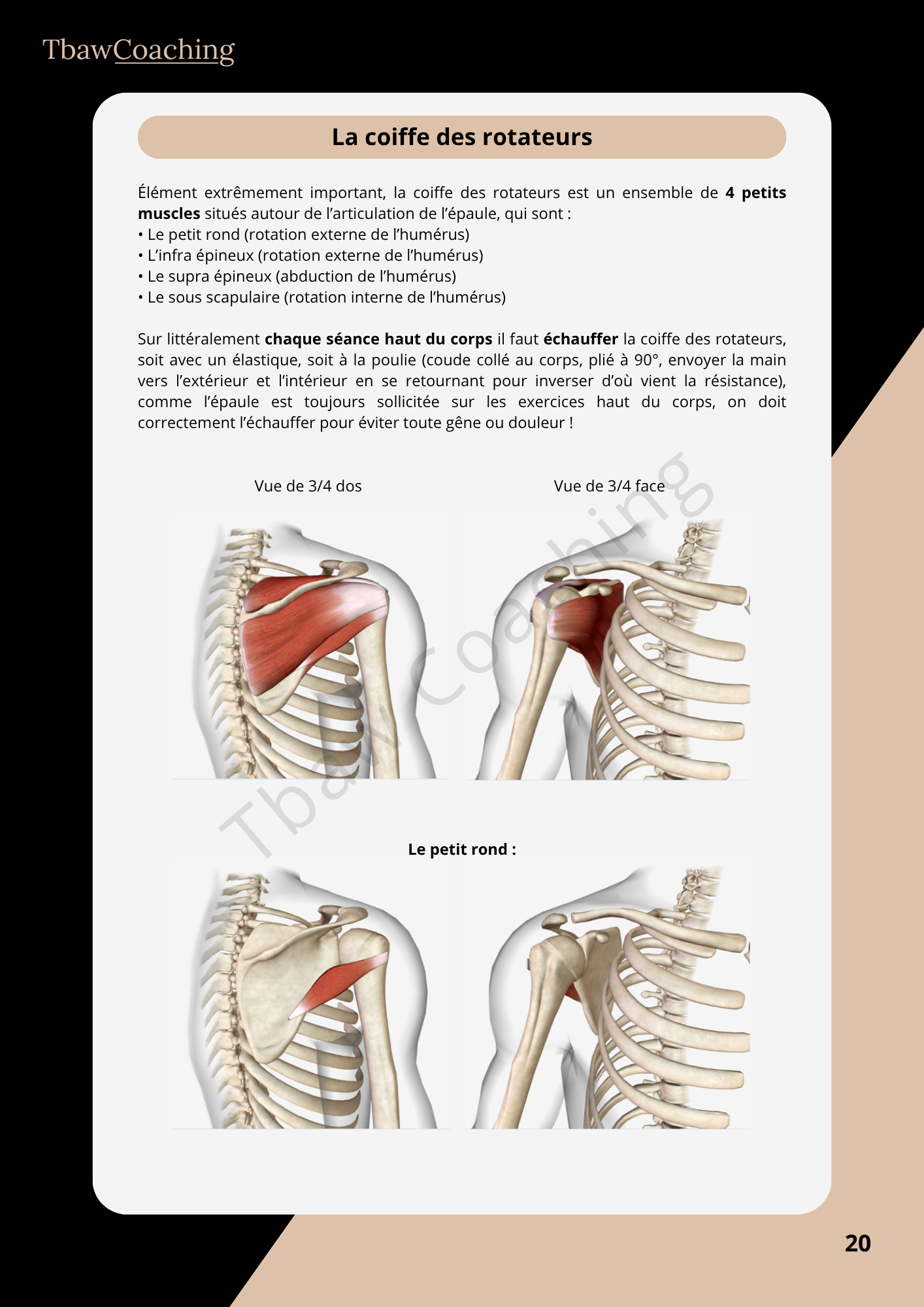 E-book Entraînement