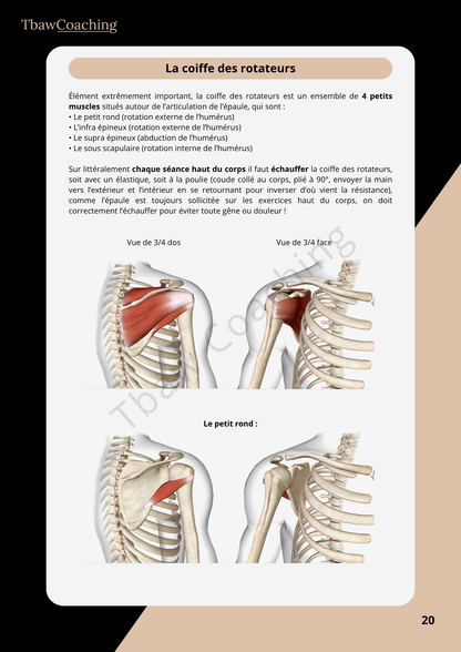 E-book Entraînement