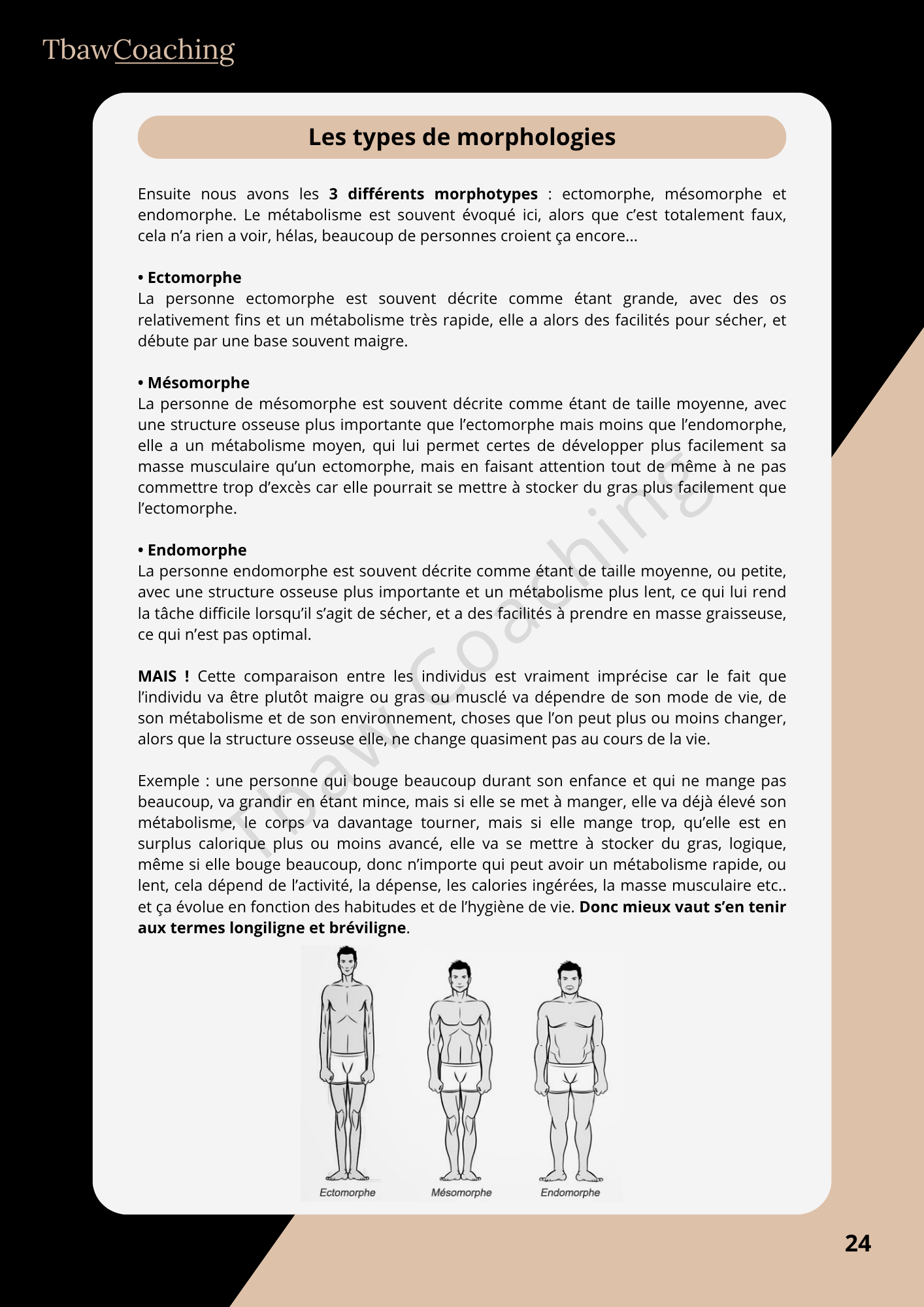 E-book Entraînement